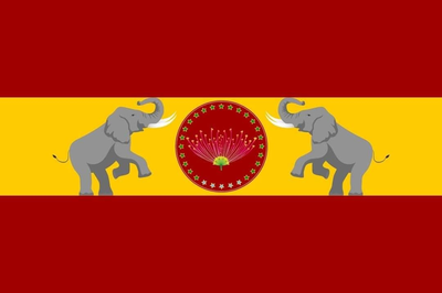 TVK Flag